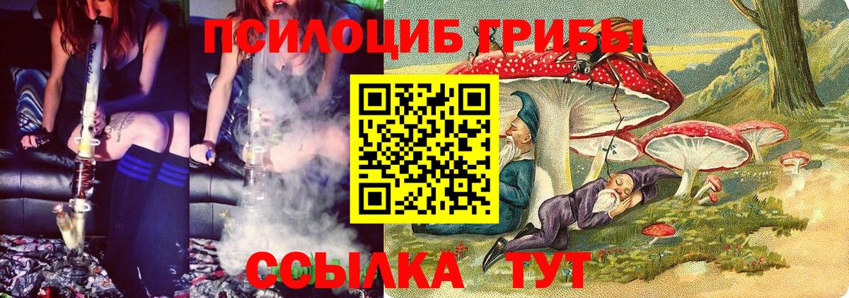 Псков  Галлюциногенные грибы прущие грибы  Галлюциногенные грибы GOLDEN TEACHER  Вход с VPN 