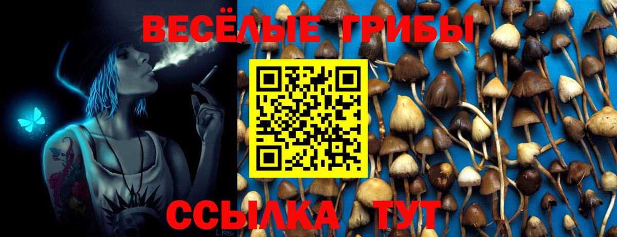 Псилоцибиновые грибы ЛСД Псков